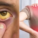 0daf1a44-d505-4a2c-b0f6-43198edce9b8