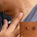 34146c28-cdeb-4c16-aa10-0d32c892335f-1