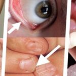 82044f72-6bac-4b6e-9479-c82c1f84c03b-1