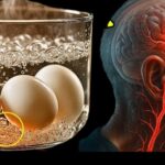 98533349-eb84-4c79-aac4-3a6d6d082b1d