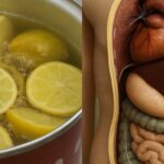 bb72028a-a381-44c6-b3da-ba4693e442b7