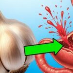 eacb1c30-97a7-4358-a7e3-a1e9a51f7b71