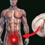 ece32aef-791f-4888-b2f1-559d2419297f-2