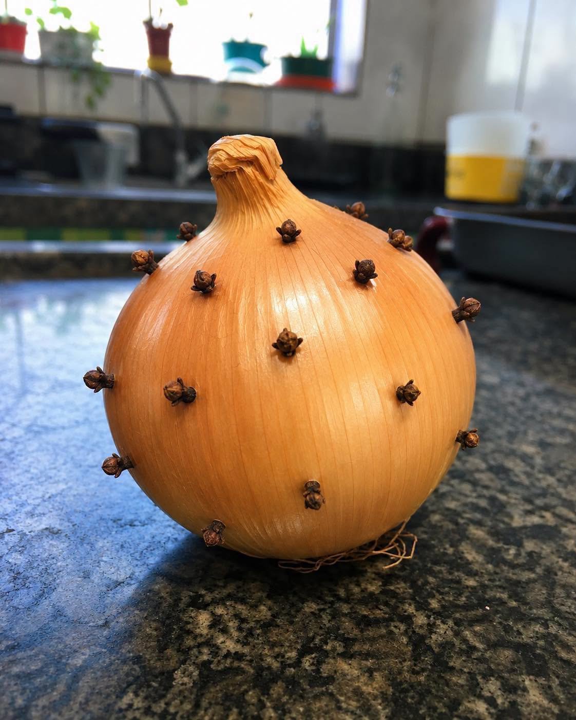 Cravos na Cebola: O Segredo Contra Insetos e Mau Cheiro! 🧅