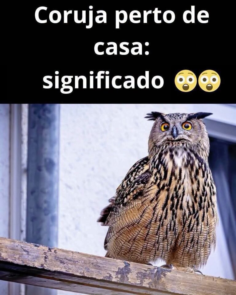 Quando uma coruja aparece perto de sua casa: desvendando o significado