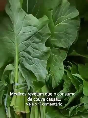 Consumo de Couve: Benefícios, Riscos e Cuidados